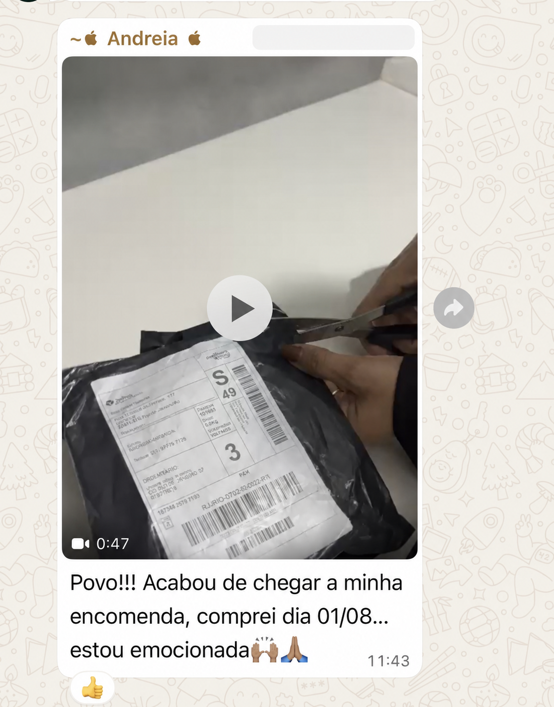 Depoimento real de cliente recebido pelo WhatsApp, conversa 4